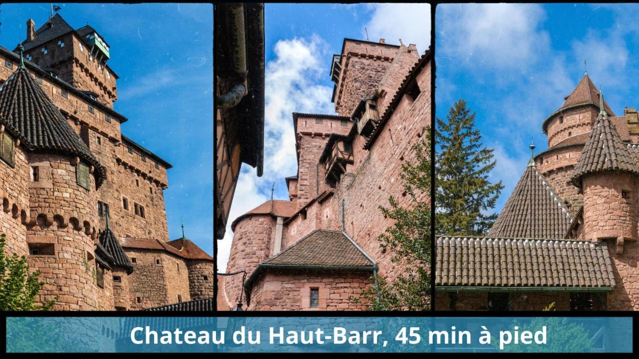 Appartamento Centre - L'Imperial - Parking Saverne Esterno foto